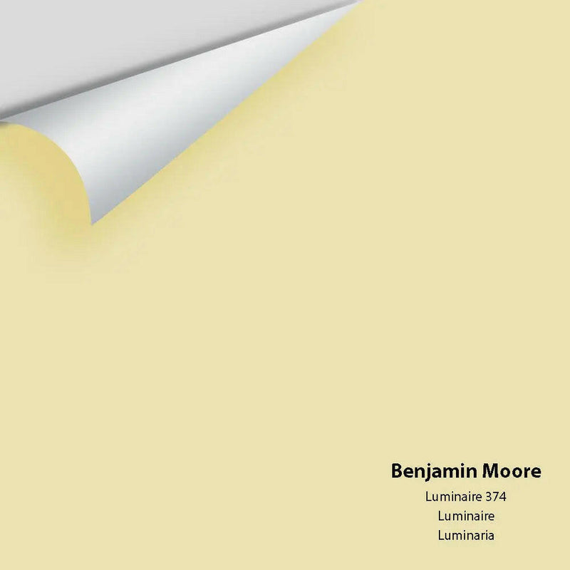 Big Paint Chip - Luminaire 374