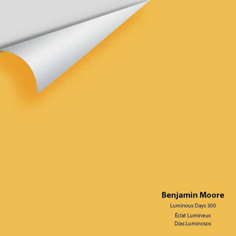 Big Paint Chip - Luminous Days 300