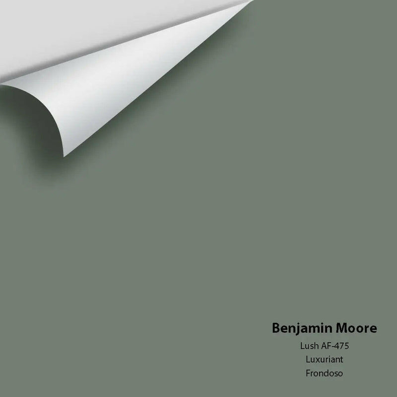 Benjamin Moore - Lush AF-475 Colour Sample