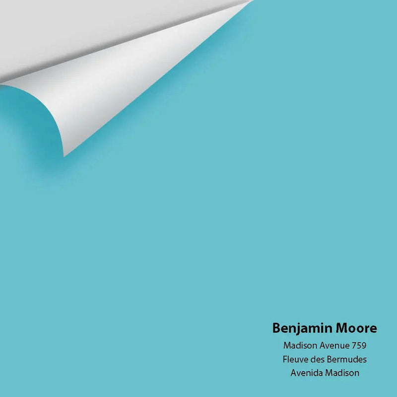 Big Paint Chip - Madison Avenue 759