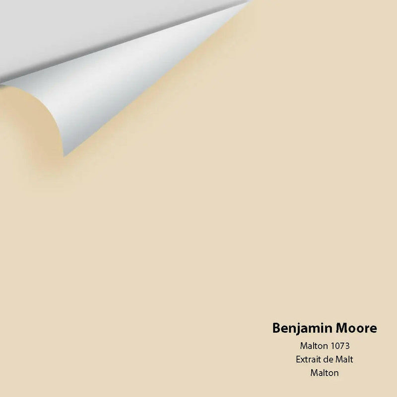 Big Paint Chip - Malton 1073
