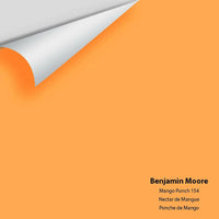 Big Paint Chip - Mango Punch 154