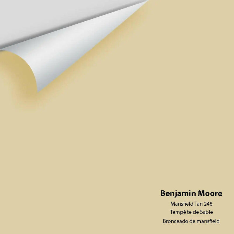 Big Paint Chip - Mansfield Tan 248