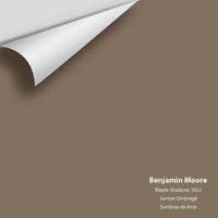 Big Paint Chip - Maple Shadows 1022