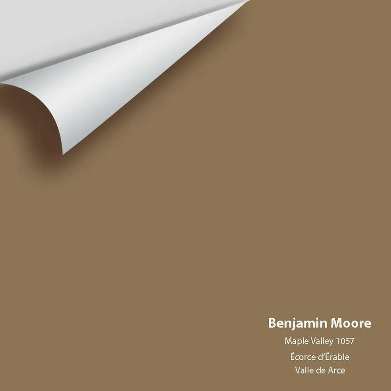 Big Paint Chip - Maple Valley 1057