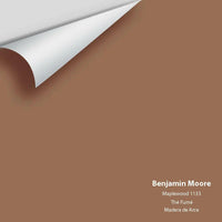 Big Paint Chip - Maplewood 1133