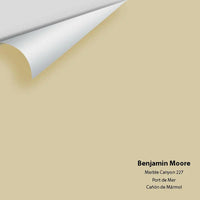Big Paint Chip - Marble Canyon 227