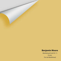 Big Paint Chip - Marblehead Gold HC-11