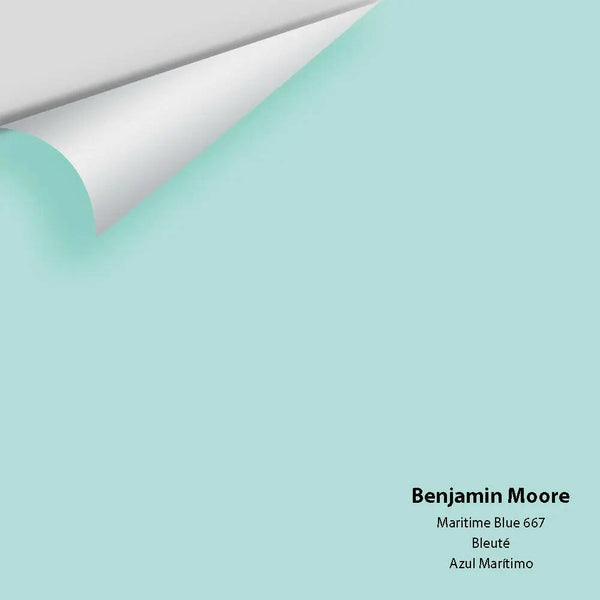 Big Paint Chip - Maritime Blue 667