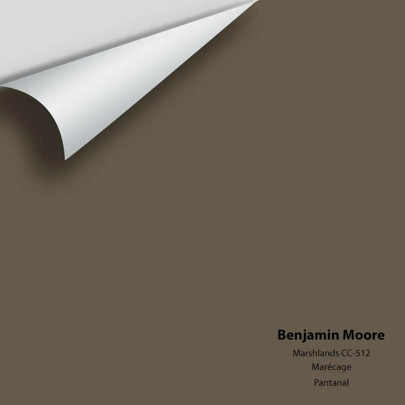 Big Paint Chip - Marshlands CC-512