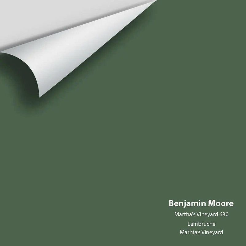 Benjamin Moore - Martha's Vineyard 630 Colour Sample