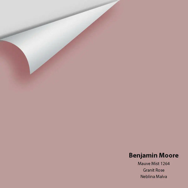 Big Paint Chip - Mauve Mist 1264