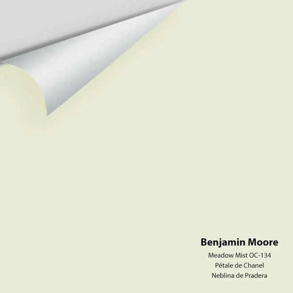 Benjamin Moore - Meadow Mist 936 / OC-134 Colour Sample