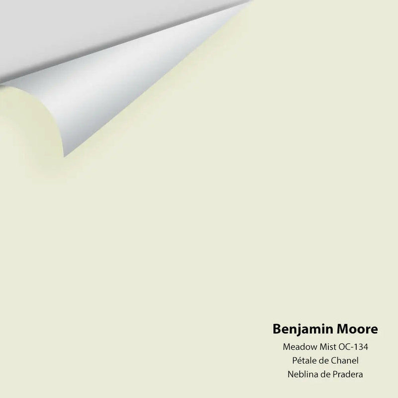 Benjamin Moore - Meadow Mist 936 / OC-134 Colour Sample