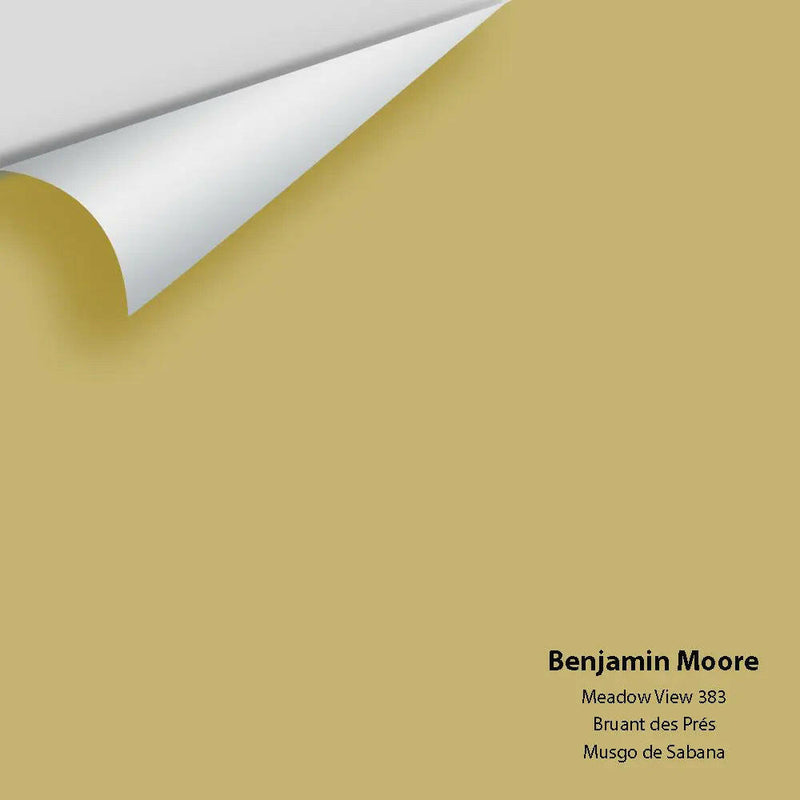 Big Paint Chip - Meadow View 383