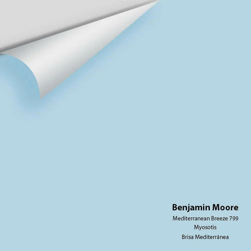 Big Paint Chip - Mediterranean Breeze 799
