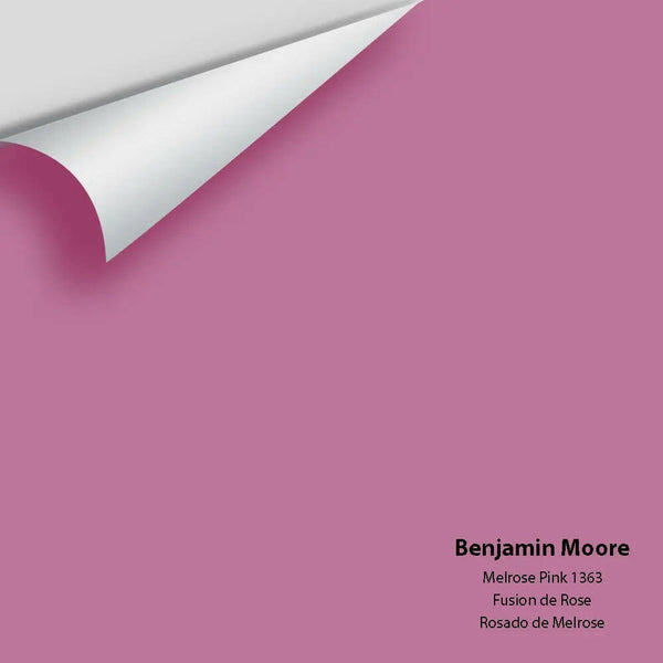 Big Paint Chip - Melrose Pink 1363
