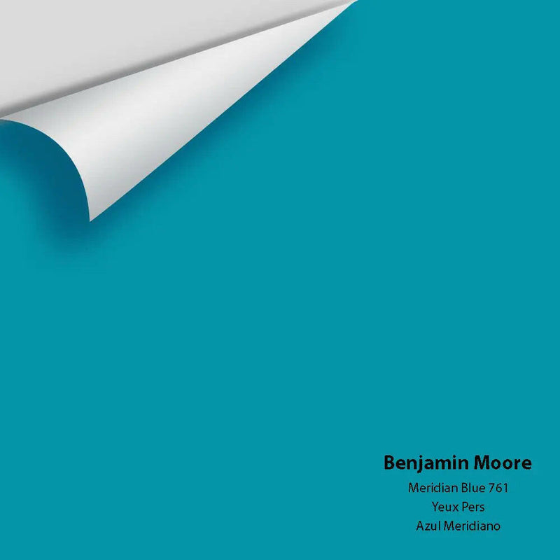 Big Paint Chip - Meridian Blue 761