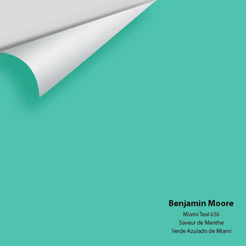 Big Paint Chip - Miami Teal 656