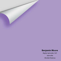 Big Paint Chip - Mighty Aphrodite 1397 - Colour Squared Inc.
