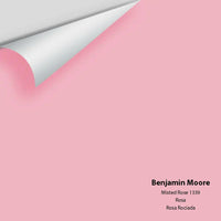 Big Paint Chip - Misted Rose 1339