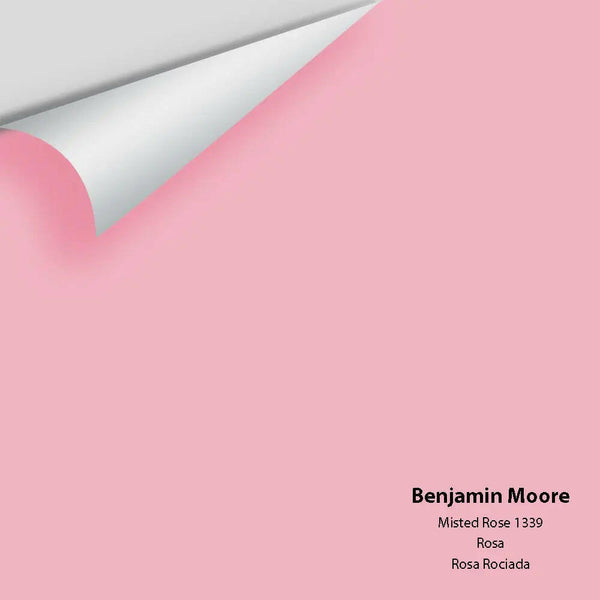Big Paint Chip - Misted Rose 1339
