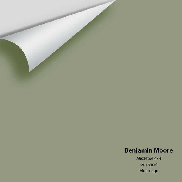 Benjamin Moore - Mistletoe 474 Colour Sample