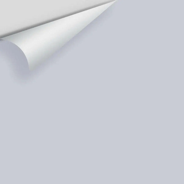 Big Paint Chip - Misty Memories 2118-60