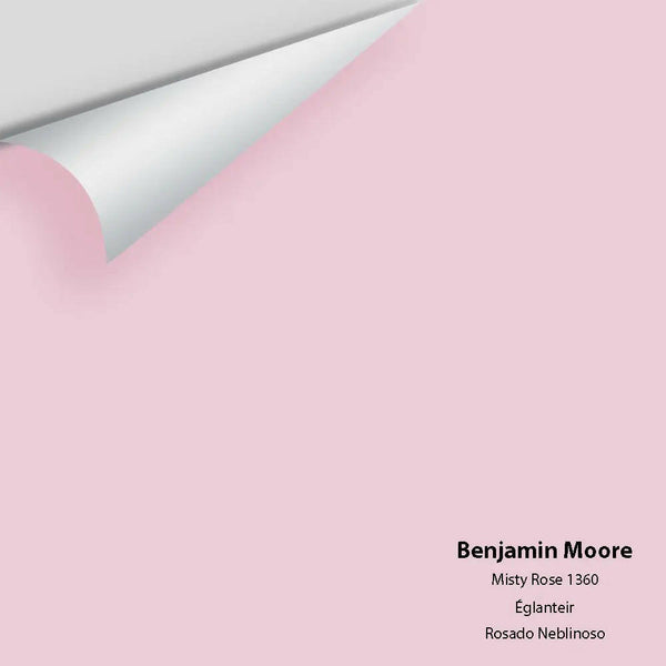 Big Paint Chip - Misty Rose 1360