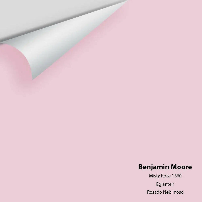 Big Paint Chip - Misty Rose 1360