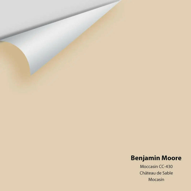 Big Paint Chip - Moccasin 1059 / CC-430