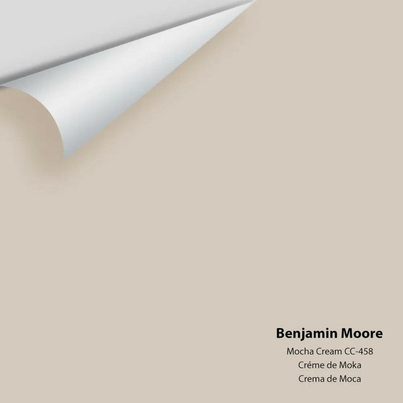 Benjamin Moore - Mocha Cream 995 / CC-458 Colour Sample | Colour Squared  Inc.
