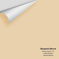 Big Paint Chip - Mohave Desert 1115