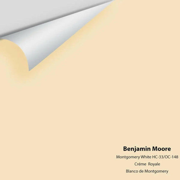 Big Paint Chip - Montgomery White HC-33 / OC-148