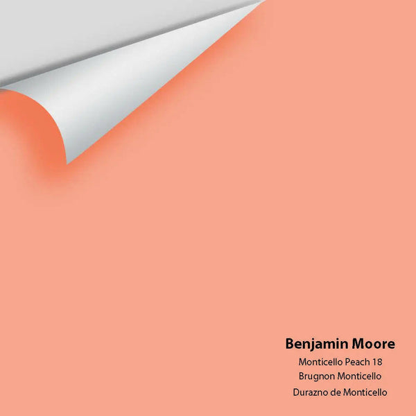 Big Paint Chip - Monticello Peach 18