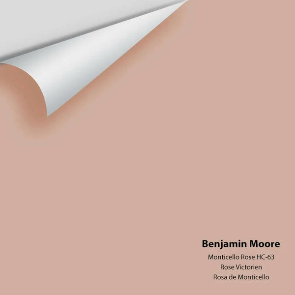 Big Paint Chip - Monticello Rose HC-63