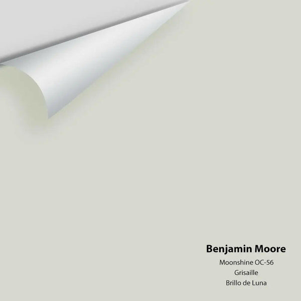 Benjamin Moore - Moonshine 2140-60 / OC-56 Colour Sample