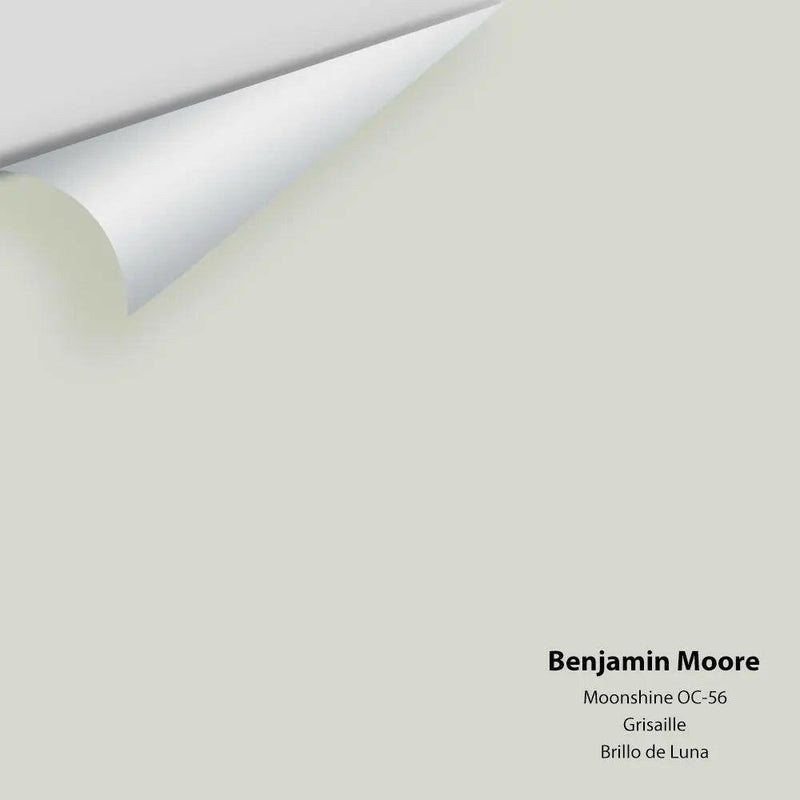 Benjamin Moore - Moonshine 2140-60 / OC-56 Colour Sample
