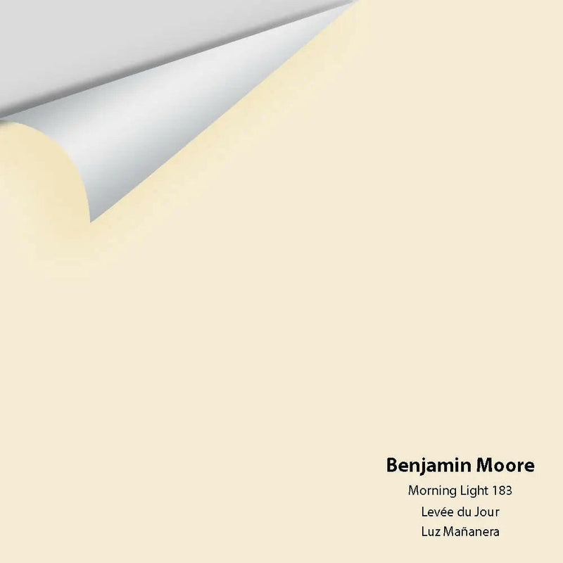 Big Paint Chip - Morning Light 183