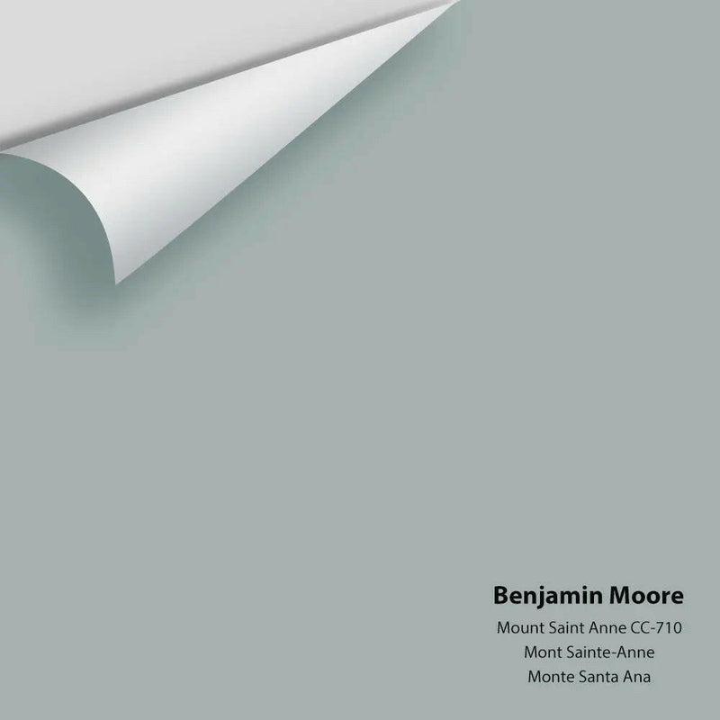 Benjamin Moore - Mount Saint Anne 1565 / CC-710 Colour Sample