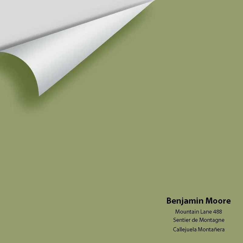 Big Paint Chip - Mountain Lane 488