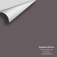 Big Paint Chip - Mountain Ridge 1456 - Colour Squared Inc.