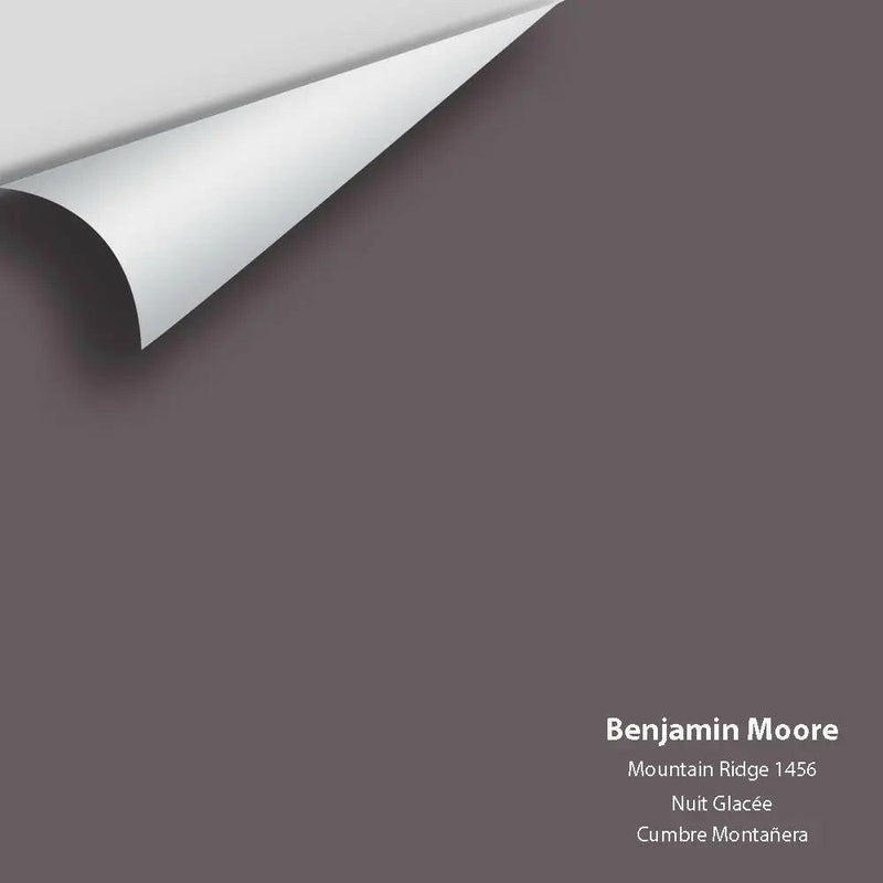 Big Paint Chip - Mountain Ridge 1456 - Colour Squared Inc.