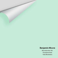 Big Paint Chip - Mountainview 583
