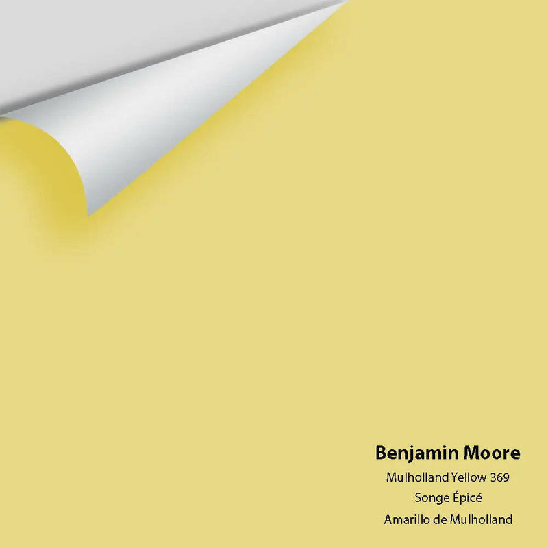 Big Paint Chip - Mulholland Yellow 369