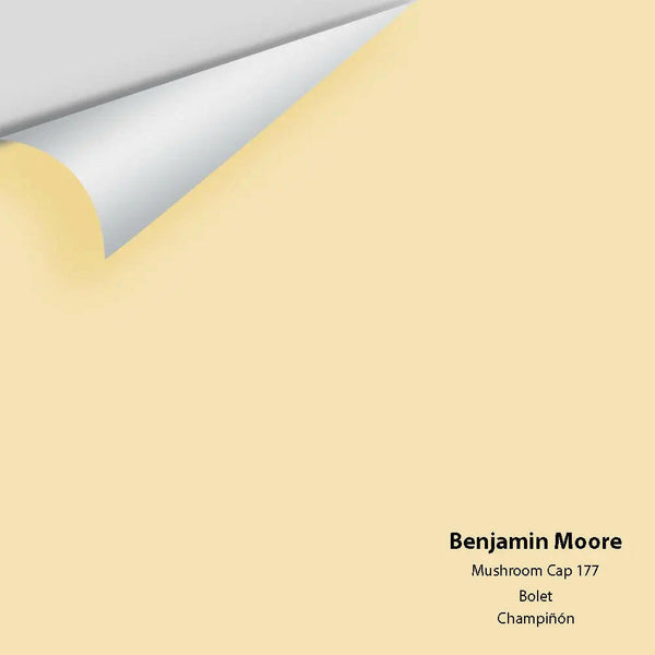 Big Paint Chip - Mushroom Cap 177