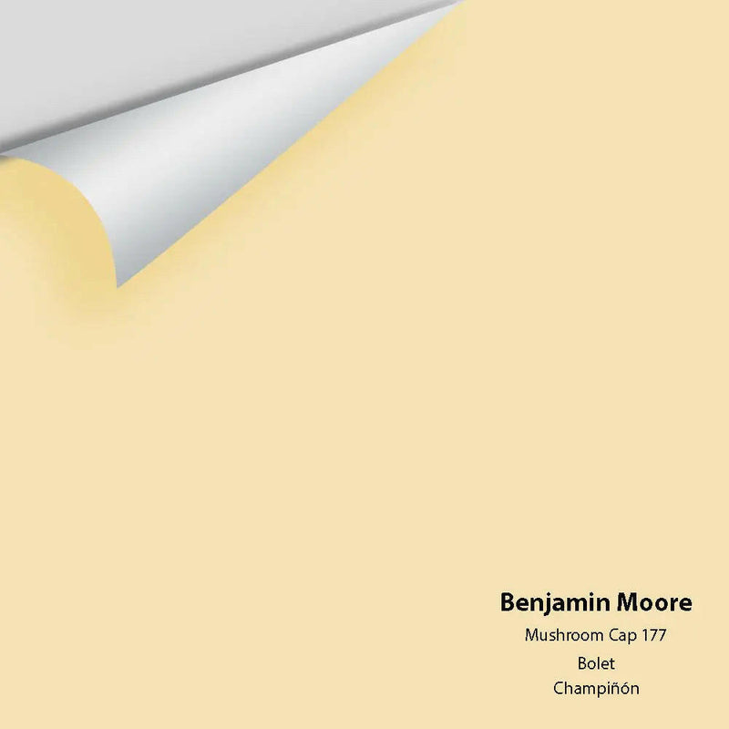 Big Paint Chip - Mushroom Cap 177