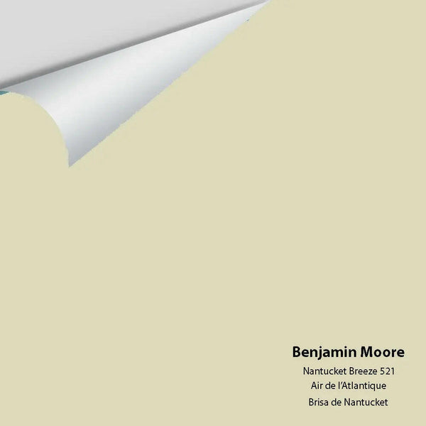 Big Paint Chip - Nantucket Breeze 521