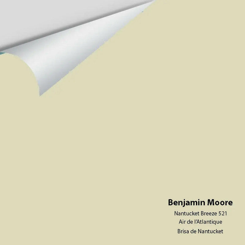 Big Paint Chip - Nantucket Breeze 521