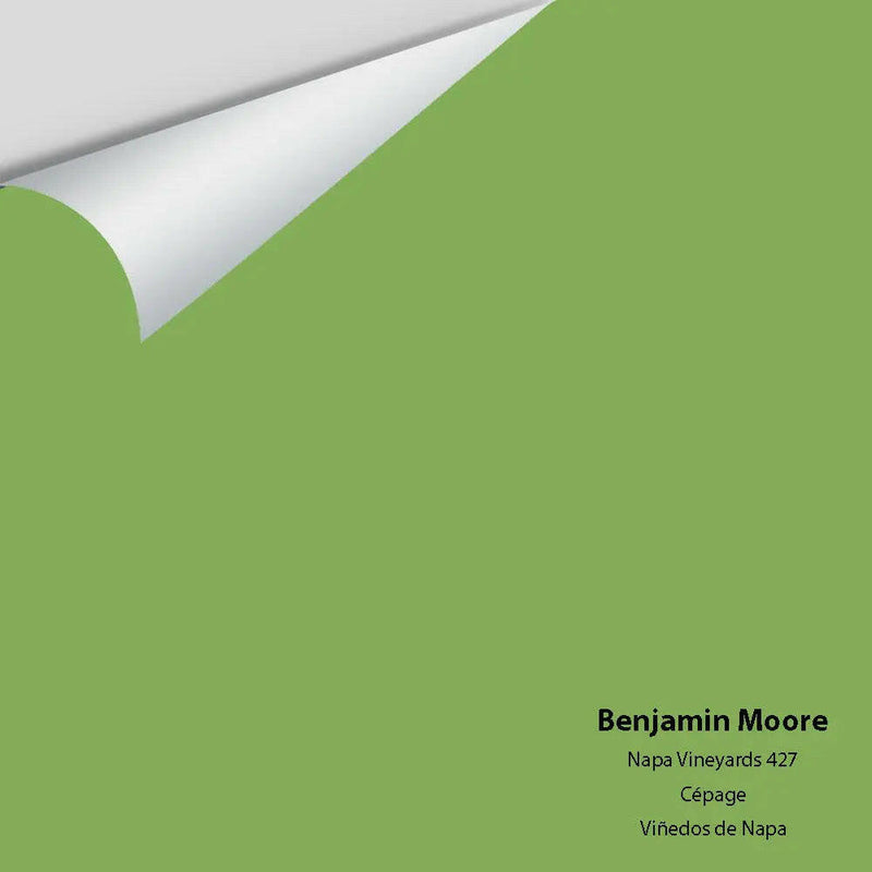 Benjamin Moore - Napa Vineyards 427 Colour Sample